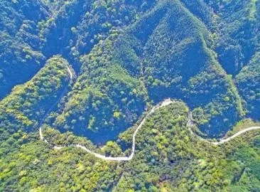 智能化，讓森林防火監(jiān)控管護(hù)更“智慧”